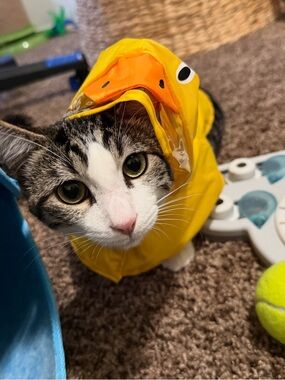 Meet your Posher, Kristina